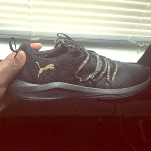 Black and gold pumas